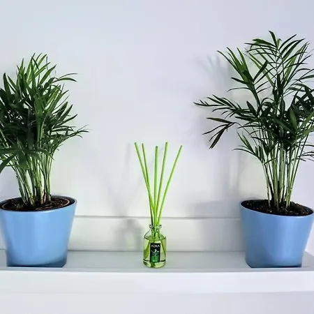 Apartment Blue Marine - Parking, Pool, Ac, Wifi *