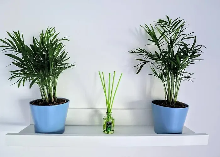 Апартаменты Blue Marine - Parking, Pool, Ac, Wifi *