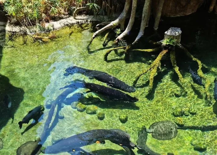 Blue Marine - Parking, Pool, Ac, Wifi *