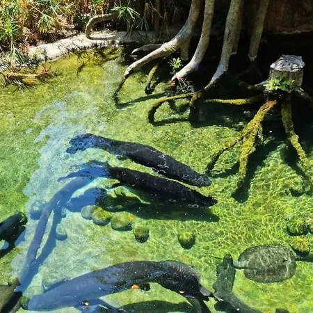 Blue Marine - Parking, Pool, Ac, Wifi *